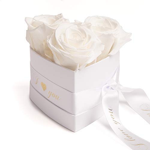 Rosemarie Schulz Heidelberg Infinity Rosenbox Herz - 10x12cm 3 Ewige Weiße Rosen Haltbar 3 Jahre - Geschenke zum Valentinstag für Sie - Valentinsday Gift Box for Her White Roses (I Love You, Weiß)