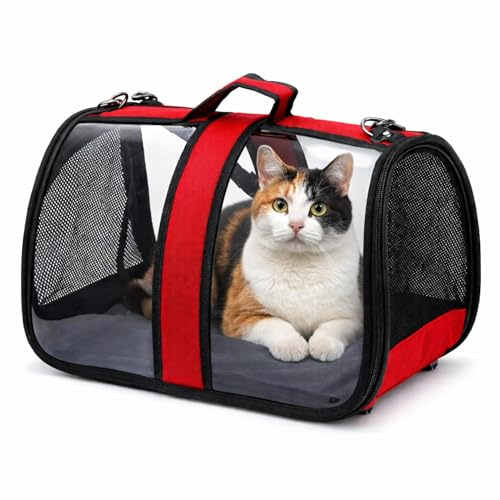 Blue Eyes Transportbox Katze Hund Faltbare Katzentransportbox Transparent Transporttasche für Haustiere im Flugzeug für Haustiere Mittel Kleine Hunde bis 6,5 kg (Rot)