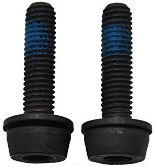CAMPAGNOLO Disc Adapter Screws, 29mm