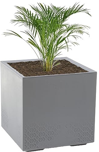 botle Blumentopf Blumenkäste Wetterbeständig Blumenkübel in stilvoller Betonoptik Grau Quadratish Maße 40x40cm Höhe 39cm mit Rollen 36L Fassungsvermögen Blumenparadies