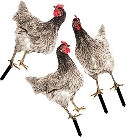 KITANDOVE 3stücke Outdoor Hühner Gartenstecker Lifelike Acryl Hühner Deko Für Garten Und Gartendekoration Mit Realistischem Design Für Und Außenbereich