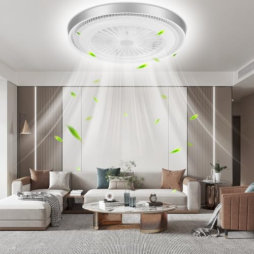Sararoom 49cm Ventilateur de Plafond avec Lumiere et Télécommande, 60W Ventilateur de Plafond LED Dimmable, 3 Couleurs de Lumière, 6 Vitesses de Vent, Modernité Ventilateur Plafond Silencieux