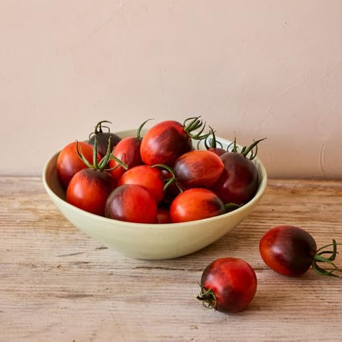 Tomato 'Black Moon' F1 Approx 8 Seeds Best Tasting Cherry Tomato Sweet, Fruity, Savoury Flavour Late Blight Resistant Indeterminate (Cordon) by Thompson and Morgan