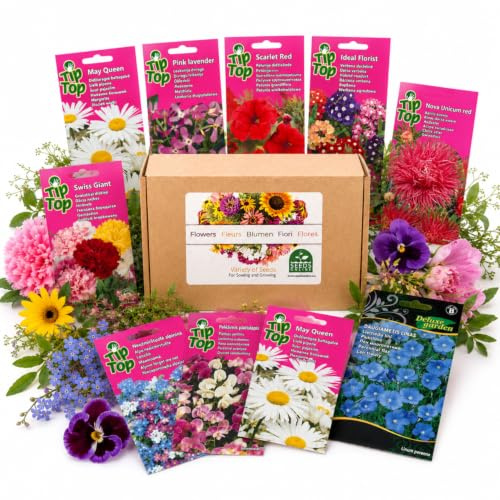 Nojus - Collection de graines de fleurs et de prairie fleurie – 30 sachets de graines de fleurs pour massifs, pots de balcon, jardins de cottage et aménagements extérieurs colorés