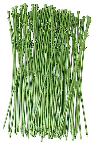STOBOK 50 Stück Stammdraht Kurze Stielblumenanordnung blumengesteck steckblumen kunstpflanze Blumenstange selber Machen Blumenarrangement mit kurzen Stielen künstlich Zubehör Material