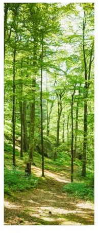 Türfolie Selbstklebend 3D Türaufkleber Wald Landschaft Türtapete Selbstklebend Türposter 77X200 cm Türverkleidung Türtattoo Poster Abnehmbar Fototapete für Wohnzimmer Schlafzimmer Küche Bad -MT644