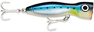 Rapala - X-Rap Magnum Xplode Angelköder - Angelzubehör mit Einteiligem, Robustem ABS Körper - Salzwasser Spinnköder - Lauftiefe Topwater - Fischköder 13cm, 62g - Hergestellt in Estland - Blue Sardine