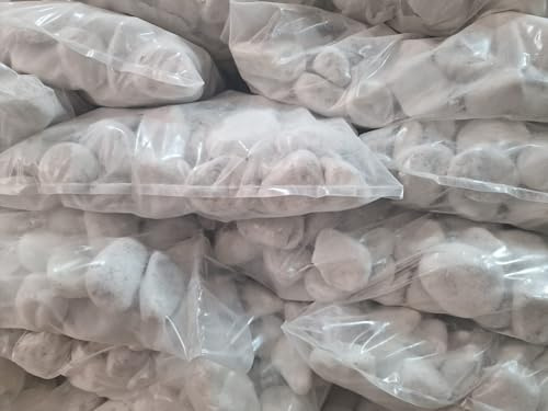 Piedra Canto Rodado Saco Blanco Especial (99%) (Tamaño: 40-60mm) para jardín o macetas decoración exterior (Blanco Puro, 20 kg)