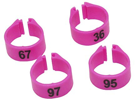 freen-p 2.7/3/4/4.5/5/8/9/10/12/14mm Customized Bird Leg Band Pigeon Clip Open Grouped Ring Name Year 100pcs