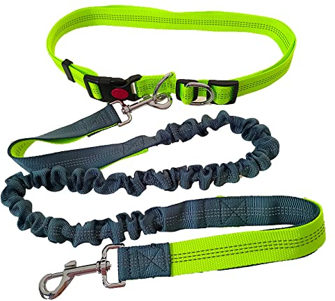 QitinDasen Freihändige Hundeleine, Grün Verstellbarer Hüftgurt und Grau Dehnbare Bungee-Leine, Jogging Hundeleine mit Reflektierenden Nähten