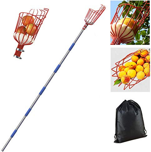 BOYO Fruit Picker Tool, 8 Foot Fruit Picker with Light Weight Aluminum Telescoping Pole and Basket, Fruit Grabber Easy to Assemble, Use Fruits Catcher Tree Picker for Getting Apple, Fruits Tree