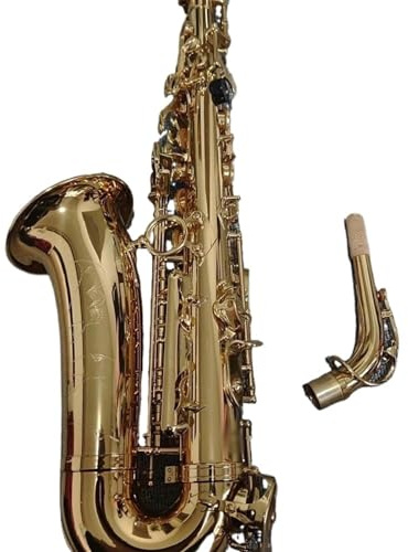 saxophon Altsaxophon Es-Flat Messing Lackiert Mit Goldmuster, Japanisches Handwerklich Hergestelltes Jazzinstrument Mit Tasche (Color : Leather bag)