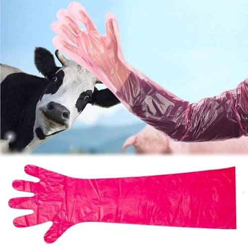 Oyiclyea 50 Pieces Disposable Long Arm Gloves Plastic Red, Artificial Insemination Gloves, Long Sleeve Veterinary Gloves, for Veterinary Arm Protection and Cleaning, for Livestock