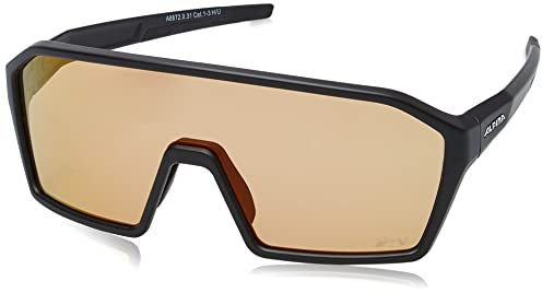 ALPINA RAM Q-LITE V - Selbsttönende, Bruchfeste & Beschlagfreie Sport- & Fahrradbrille Mit 100% UV-Schutz Für Erwachsene, black matt, One Size