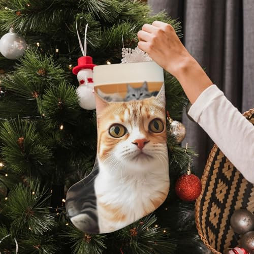 AdaNti Weicher Weihnachtsstrumpf, lustiger Haustier-Katzen-Druck, Weihnachtsbaum-Dekor-Strümpfe, personalisierte Weihnachtsstrümpfe für Familie, Weihnachten, Urlaub, Jahreszeit, Dekoration, Kamin,