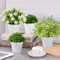 TechKen 4 Plantas Artificiales en Maceta, Plantas Artificiales Pequeñas Como Reales, Plantas Decorativas Artificiales Set con Maceta Plantas Falsas Decoración Eucalipto Hierba Verde Pequeñas Plantas d