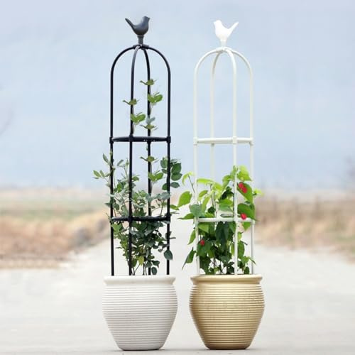 Garden obelisk, trellis for climbing plants outdoor, small trellis for potted plants, Tomato Cage White, Black obelisk Indoor high 25.6/33.5/45.3/57/65/68.9/80.7in(Black,D 9.8x H 33.5in)