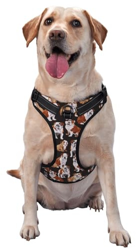 Englische Bulldogge, Haustiergeschirr, Verstellbares reflektierendes Hundegeschirr, Haustierleinenweste,L