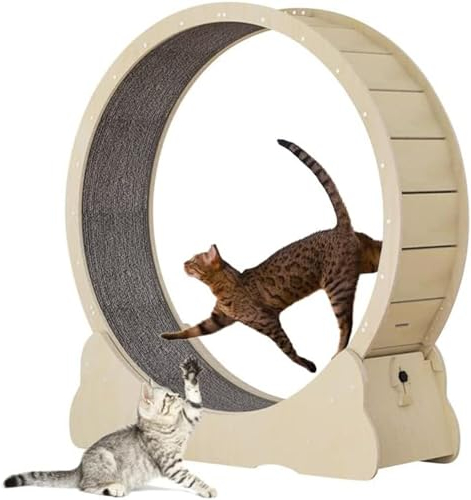 ExoticaBlend Katzenlaufrad Laufrad für Katzen, Laufrad Katze, Laufband mit Teppichboden, Katzenrad Fitnessgerät zur Gewichtsabnahme, für EIN längeres Leben der Katze,S