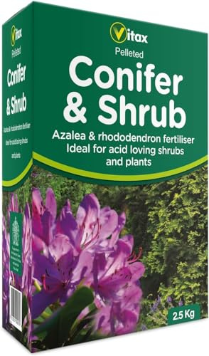 2.5kg, Conifer & Shrub Seed Mix for Gardens, Easy To Handle, Low Dust, Pelleted Form
