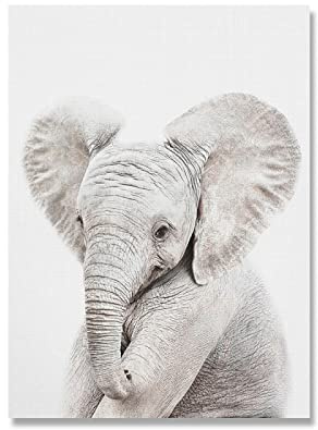 iYoucase Baby Safari Elefant Kind Poster Kinderzimmer Wand Bilder Bild Waldtier Leinwand Gemälde Nordische Bilder Kind Baby Schlafzimmer Dekor 50x70cm Ungerahmt
