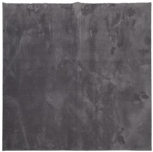 vidaXL Teppich HUARTE Kurzflor Weich und Waschbar Anthrazit 160x160 cm