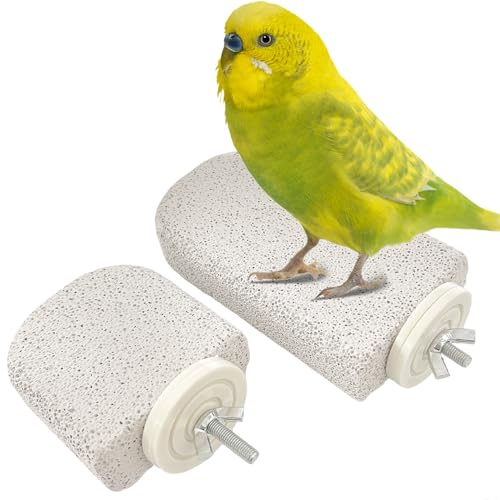 VLYX 2 St Natursten-Sittpinne för Fåglar, Leksak för Tand- och Klofilning, Passar Undulater, Nymfparakiter, Conures, Små Fågelburar