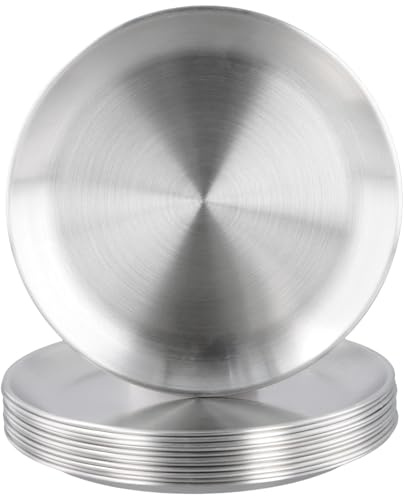 HONYUET 12 PCS 20cm Stainless Steel Dinner Plate, 8 Inch Round Metal Serving Platter Tableware for Camping BBQ Party, Silver