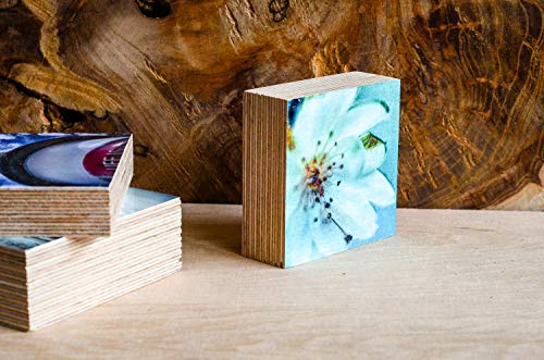 Blüte Blume Holzdruck Quadrat 6,5 x 6,5 cm Holzbild im Shabby-Stil Photo on Wood gifts