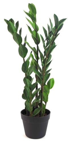 Leaf Piante artificiali tropicali, 75 cm Zamioculcas