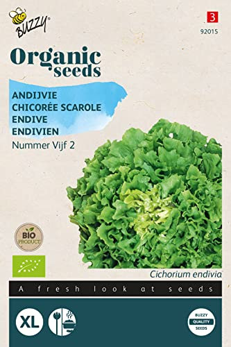 Buzzy Organic Endive scarole, Nummer Vijf 2 (BIO) - Content: Approx. 1 Grams