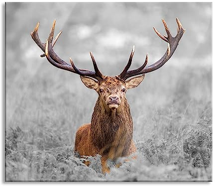 Großer Hirsch im Feld Herdabdeckplatte & Spritzschutz aus Echtglas | Für Herd-Kochfelder | 60x52 cm