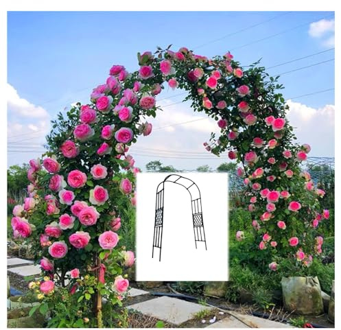 Pergola de jardin en acier inoxydable pour plantes grimpantes - Support pour plantes grimpantes - Montage facile - Pour vigne - Largeur réglable 120-300 cm (h : 2,7 m) - Parfait pour les espaces