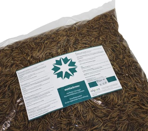 algova Gusanos de la harina Secos - Alimento Natural de Insectos para Peces Ornamentales, Aves, Reptiles, Tortugas, erizos, Peces de Estanque (5000g)