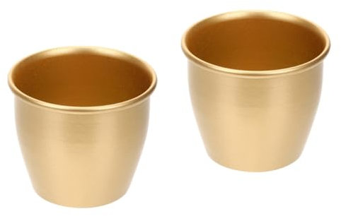 Yardwe 2stücke Metallischer Blumentopf Moderner Pflanzgefäß Für Sukkulenten Und Kleine Pflanzen Geeignet Für Wohnzimmer Balkon Schreibtisch Und Garten Mit Elegantem Design Und