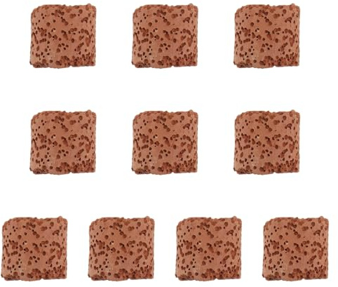 WEKAMOS 10 pièces Anneau de Fixation pour Plantes Aquatiques Lot de Support Pratique pour Aquarium et Réservoir Poisson Décor Paysage Aquatique