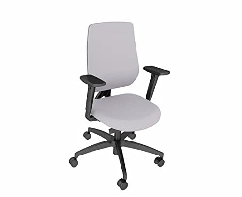 Dauphin Speed-O, ergonomischer Bürostuhl, in DREI Ausführungen, individuell anpassbar (platingrau, Vollpolsterung)