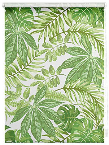 Lichtblick Klemmfix Tageslicht-Rollo mit Motiv, ohne Bohren, Blickdicht, Seitenzugrollo, Made in Germany, Blätter - Grün 90 cm x 150 cm (B x L)