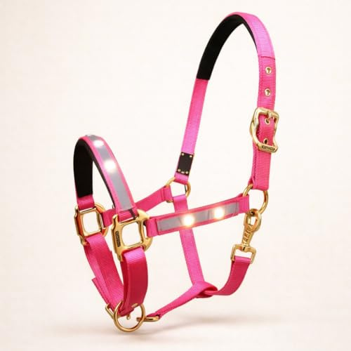 Reinecke Equestrian Starlight - Cabestro de seguridad para establo (LED, nailon, con luz Cob/VB, rosa/dorado)