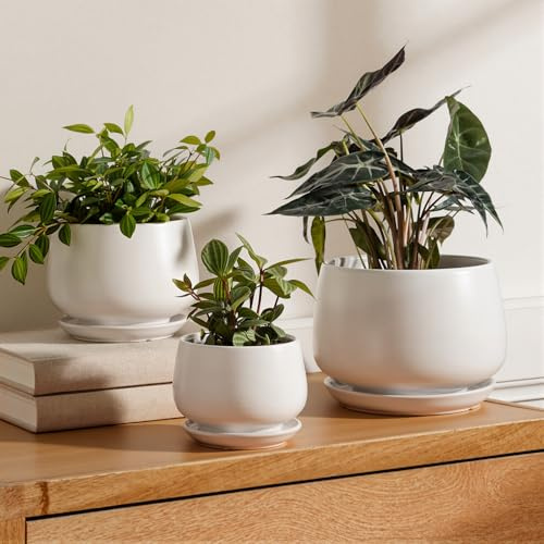 LE TAUCI Blumentopf Keramikmit Untersetzer, 10+13+16 cm, 3er Set, Weiß | Übertöpfe für Zimmerpflanzen mit Abflussloch und Integrierter Untersetzer, Klein Blumentöpfe Set für Regal und Fensterbank