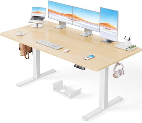 ErGear Electric Standing Desk-160 x 80 cm-100kg Load Capacity Height Adjustable Desk with Advanced Brushless Motor, Quiet Operation, Sturdy Metal Frame,4 part Tabletop