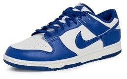 Nike Dunk Low Retro Sneaker