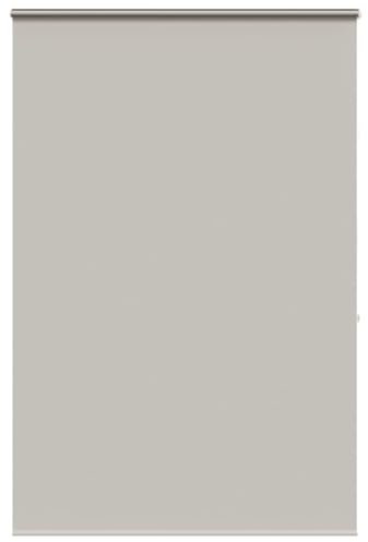 Cortina de ducha opaca enrollable de 150 x 240 cm, cortina enrollable para interiores, filtrado de luz diurna, diseño de cassette, elegante decoración del hogar, fácil instalación, tratamiento de