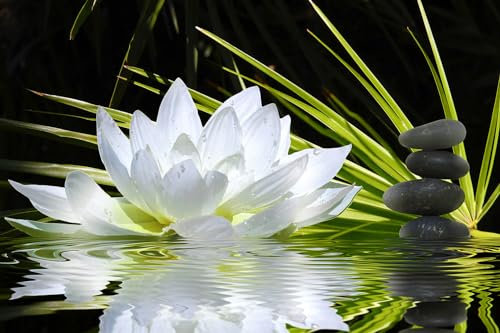 Cuadro de flor de loto y guijarros – Made in France – Cuadro de cristal acrílico 120 x 80