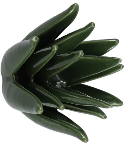 JECOMPRIS Keramik-ring Und Ohrringhalter in Aloe-form Für Damen Zur Aufbewahrung Von Schmuck Nachttisch Schreibtisch Oder Schminktisch Klein Und Praktisch Für Reisen