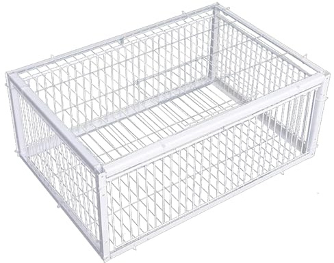 Trampa para pájaros con diseño a Prueba de Escape Jaula de Paloma de Hierro al Aire Libre jardín de jardín de jardinería Trampa Humana para Paloma de ratón ratón Pollo Conejo