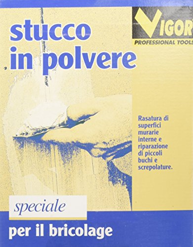 Masilla de polvo VIGOR P/INTERIOR