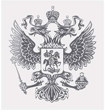 ruiruiNIE Wappen von Russland Autoaufkleber Russische Adler Aufkleber Aufkleber für Auto Styling Autoaufkleber Silber