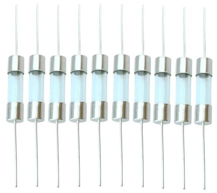 10 Stück 5 x 20 6 x 30 mm Doppelkappen-Glassicherung, flink, langsam, Röhrensicherung mit einem Stift(1A,6X30MM_SLOW BLOW(T))