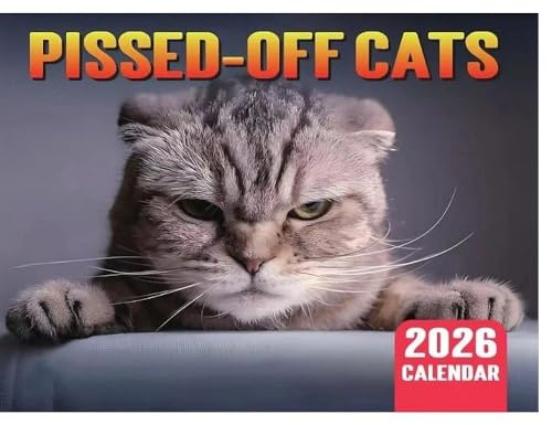 Calendrier 2026 avec chats en colère - Calendrier mural 2026 avec chats en colère - Calendrier mural - Calendrier mensuel